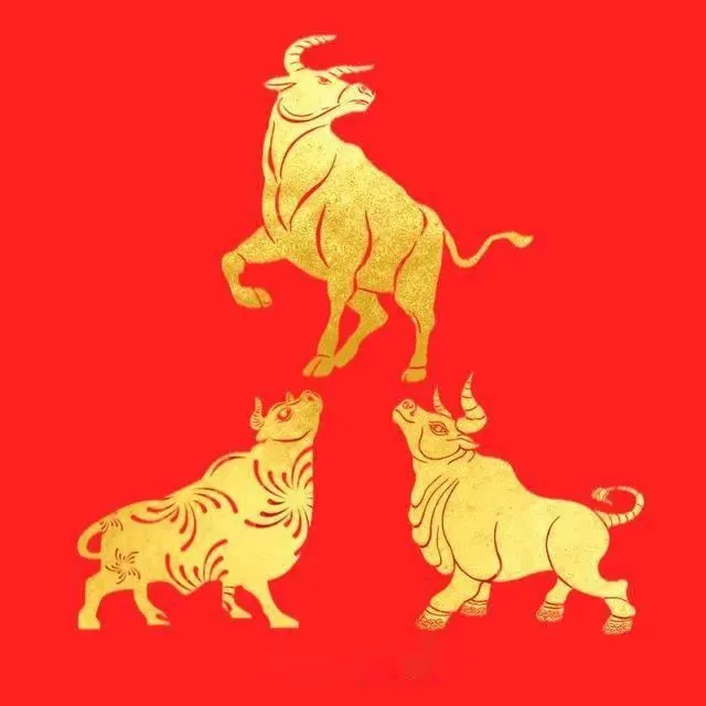 Veel succes Van Begin